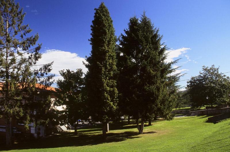 Hotel Villa De Nava Eksteriør billede